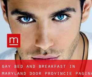 Gay Bed and Breakfast in Maryland door Provincie - pagina 1
