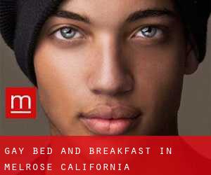 Gay Bed and Breakfast in Melrose (California)
