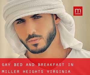 Gay Bed and Breakfast in Miller Heights (Virginia)