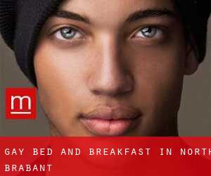 Gay Bed and Breakfast in North Brabant