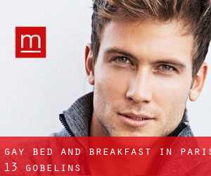 Gay Bed and Breakfast in Paris 13 Gobelins