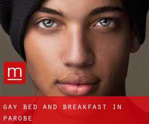 Gay Bed and Breakfast in Parobé