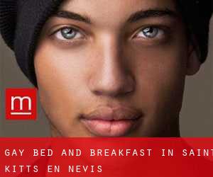 Gay Bed and Breakfast in Saint Kitts en Nevis
