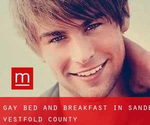 Gay Bed and Breakfast in Sande (Vestfold county)