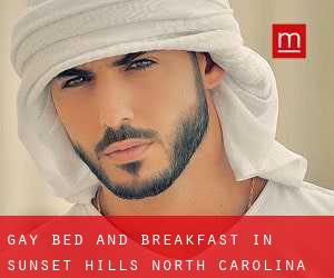 Gay Bed and Breakfast in Sunset Hills (North Carolina)