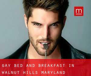 Gay Bed and Breakfast in Walnut Hills (Maryland)