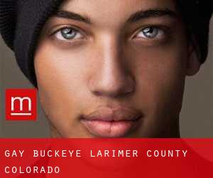 gay Buckeye (Larimer County, Colorado)