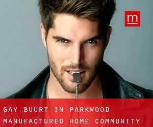 Gay Buurt in Parkwood Manufactured Home Community
