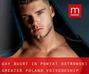 Gay Buurt in Powiat ostrowski (Greater Poland Voivodeship)