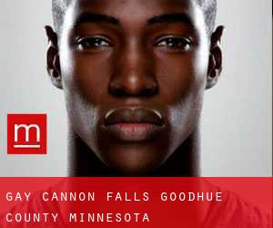 gay Cannon Falls (Goodhue County, Minnesota)