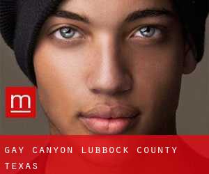 gay Canyon (Lubbock County, Texas)