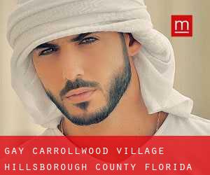 gay Carrollwood Village (Hillsborough County, Florida)