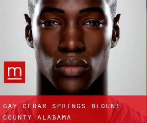 gay Cedar Springs (Blount County, Alabama)