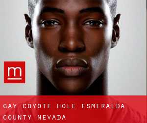 gay Coyote Hole (Esmeralda County, Nevada)