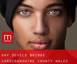 gay Devils Bridge (Cardiganshire County, Wales)