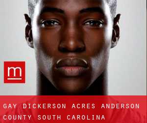 gay Dickerson Acres (Anderson County, South Carolina)