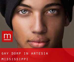 Gay Dorp in Artesia (Mississippi)