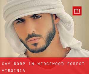 Gay Dorp in Wedgewood Forest (Virginia)