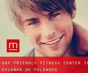 Gay Friendly Fitness Center in Escobar de Polendos