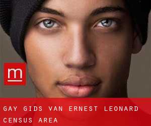 gay gids van Ernest-Léonard (census area)