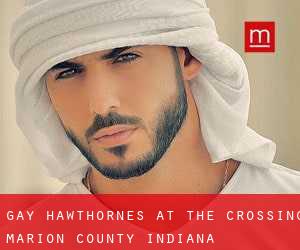 gay Hawthornes At The Crossing (Marion County, Indiana)