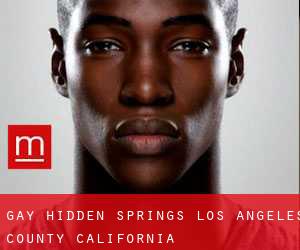 gay Hidden Springs (Los Angeles County, California)
