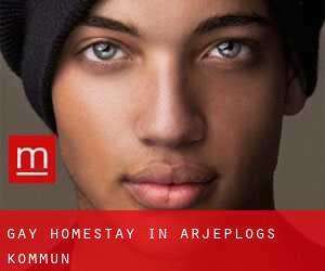 Gay Homestay in Arjeplogs Kommun