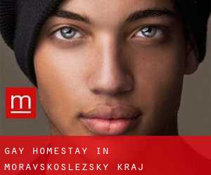 Gay Homestay in Moravskoslezský Kraj