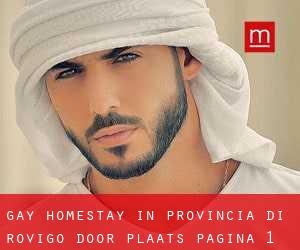 Gay Homestay in Provincia di Rovigo door plaats - pagina 1