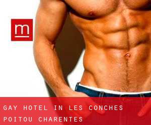 Gay Hotel in Les Conches (Poitou-Charentes)