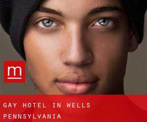 Gay Hotel in Wells (Pennsylvania)