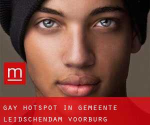 Gay Hotspot in Gemeente Leidschendam-Voorburg