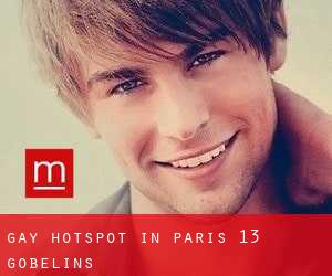 Gay Hotspot in Paris 13 Gobelins