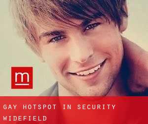 Gay Hotspot in Security-Widefield