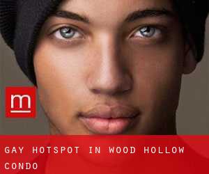 Gay Hotspot in Wood Hollow Condo