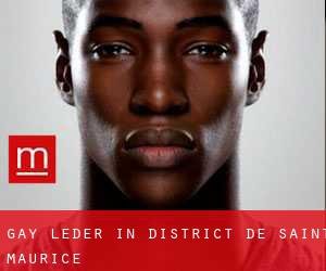 Gay Leder in District de Saint-Maurice