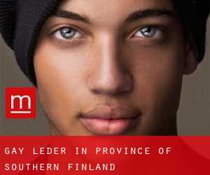 Gay Leder in Province of Southern Finland