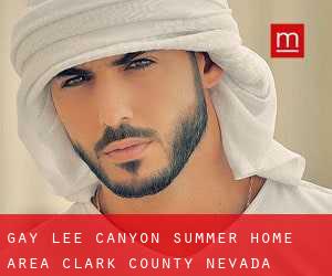gay Lee Canyon Summer Home Area (Clark County, Nevada)