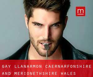 gay Llanarmon (Caernarfonshire and Merionethshire, Wales)