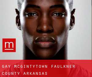 gay McGintytown (Faulkner County, Arkansas)