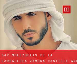 gay Molezuelas de la Carballeda (Zamora, Castille and León)