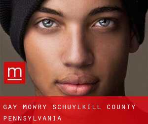 gay Mowry (Schuylkill County, Pennsylvania)