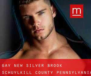 gay New Silver Brook (Schuylkill County, Pennsylvania)