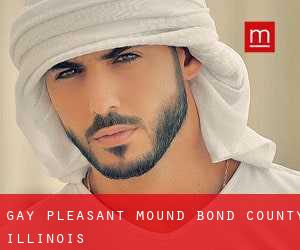 gay Pleasant Mound (Bond County, Illinois)