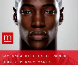 gay Snow Hill Falls (Monroe County, Pennsylvania)