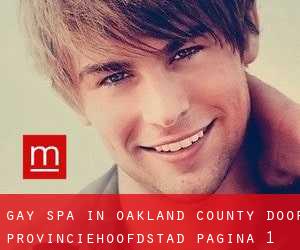 Gay Spa in Oakland County door provinciehoofdstad - pagina 1