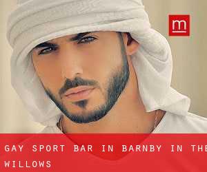 Gay Sport Bar in Barnby in the Willows