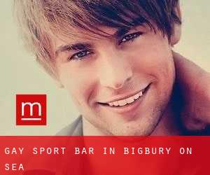 Gay Sport Bar in Bigbury on Sea