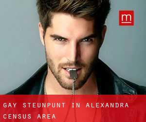Gay Steunpunt in Alexandra (census area)