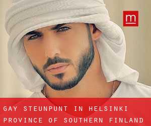 Gay Steunpunt in Helsinki (Province of Southern Finland)